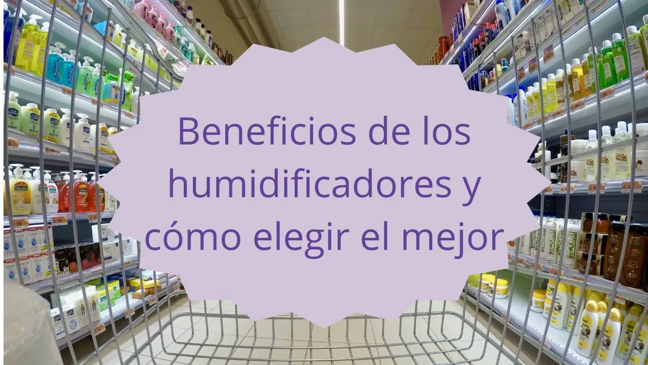 Beneficios de los humidificadores y cómo elegir el mejor